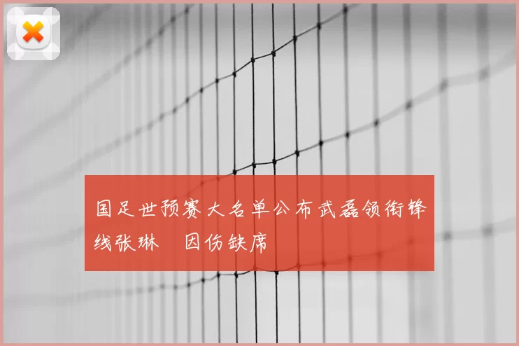 国足世预赛大名单公布武磊领衔锋线张琳芃因伤缺席