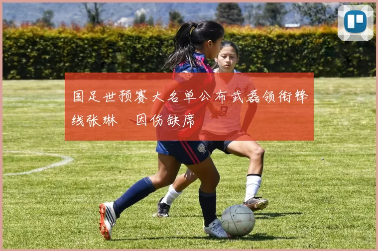 国足世预赛大名单公布武磊领衔锋线张琳芃因伤缺席