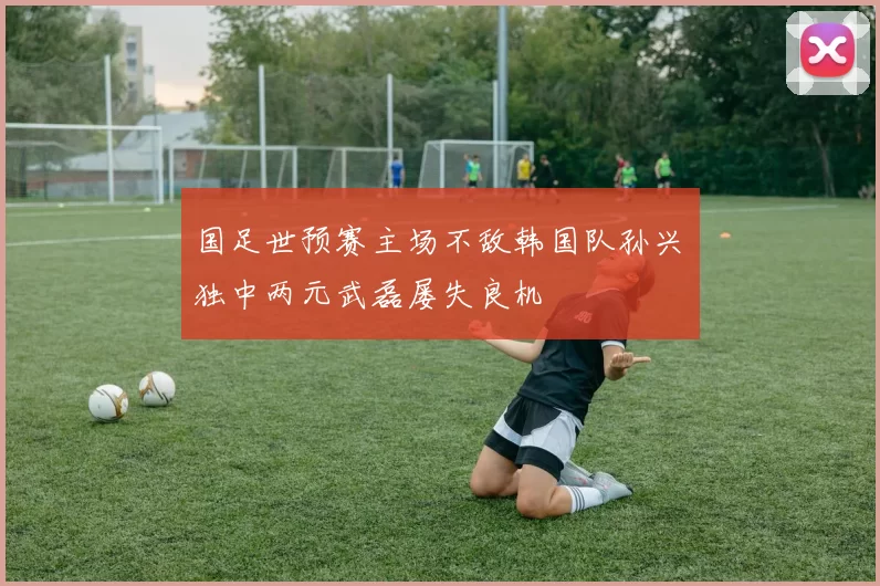 国足世预赛主场不敌韩国队孙兴慜独中两元武磊屡失良机