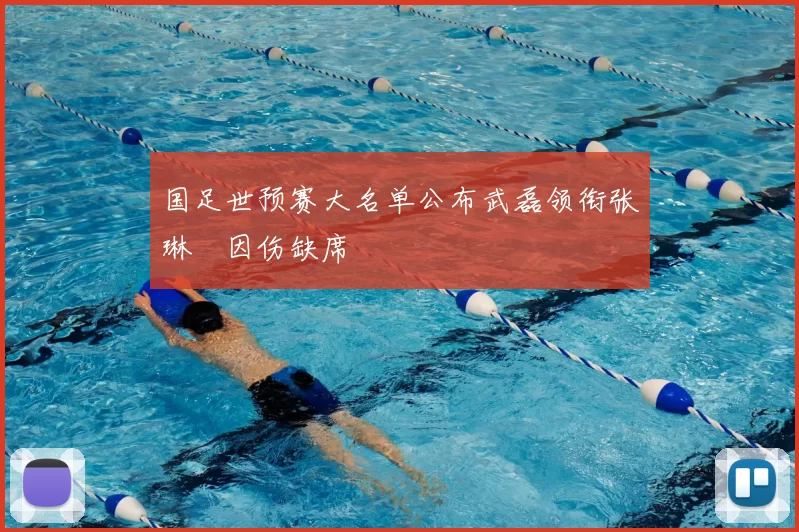 国足世预赛大名单公布武磊领衔张琳芃因伤缺席
